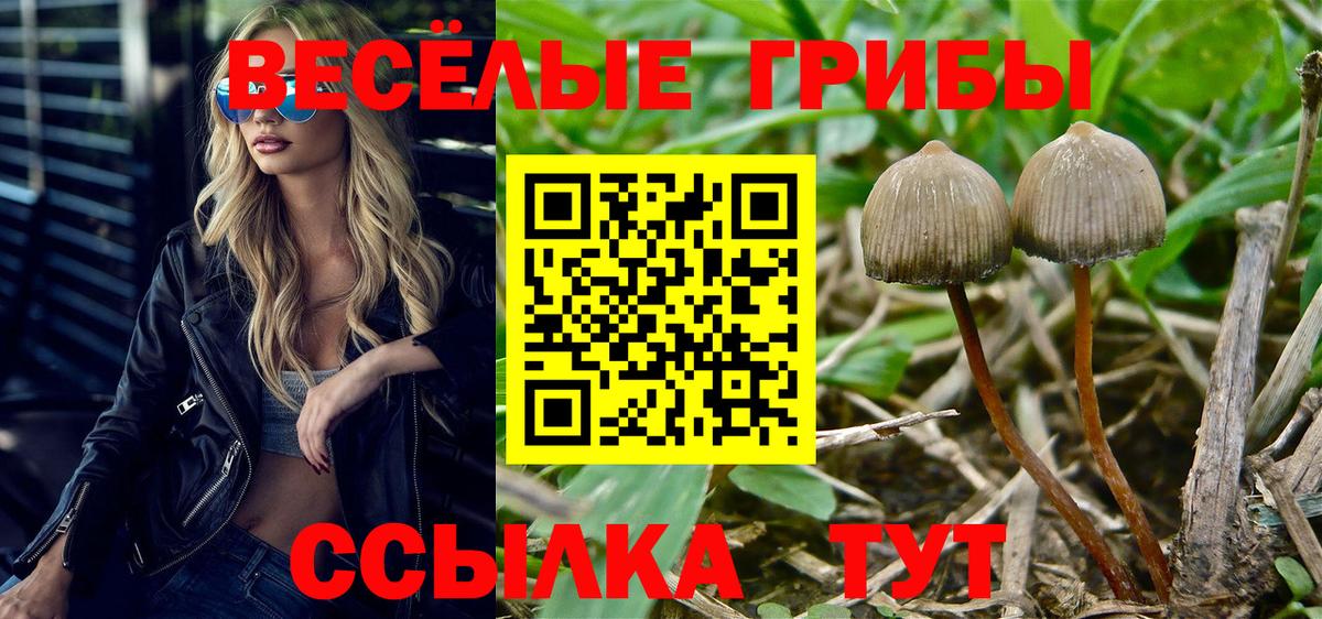 Галлюциногенные грибы GOLDEN TEACHER  Вход с VPN  Краснотурьинск 